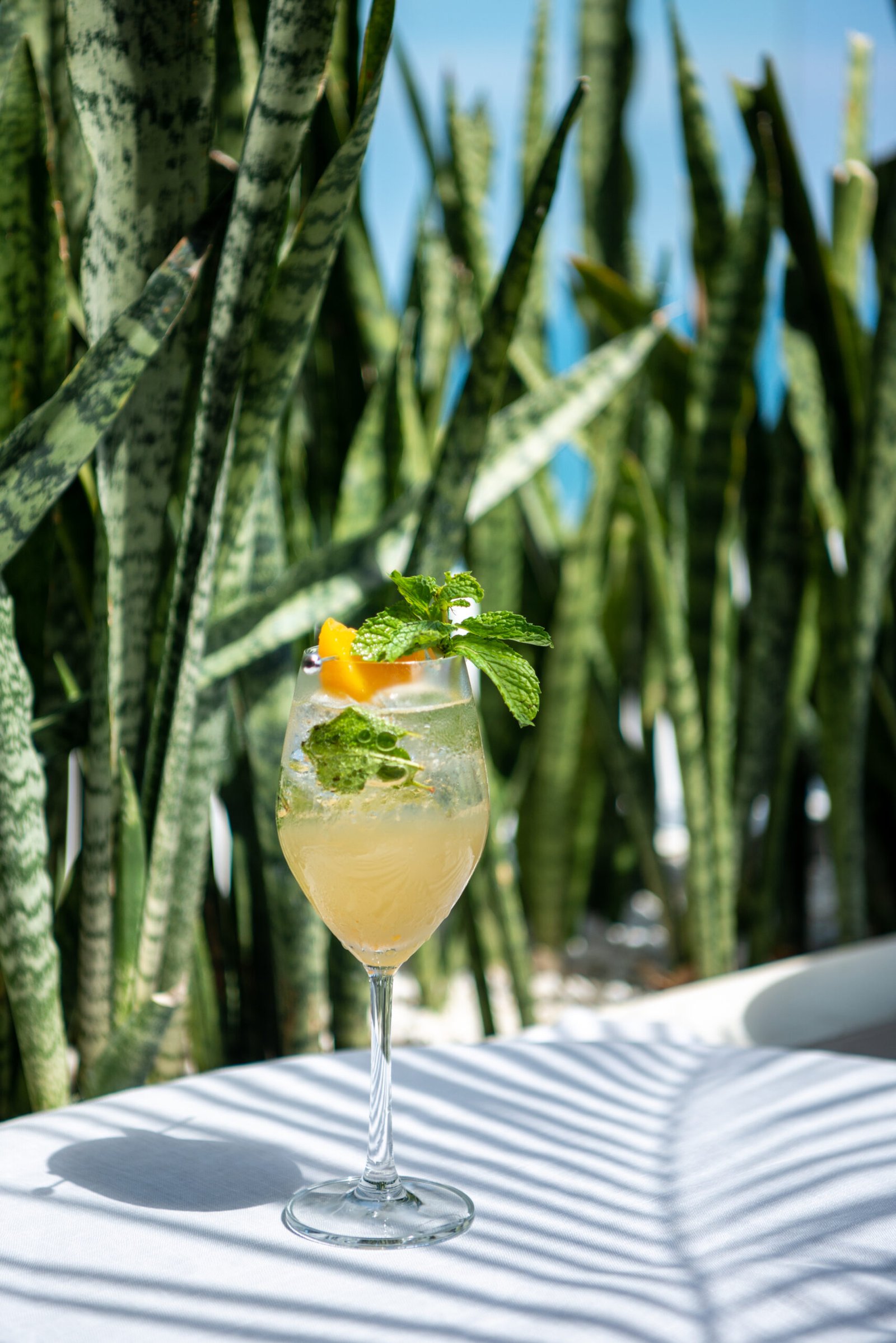 Sauvignon Blanc / Peach/Lemonade/ Osmanthus / Citric