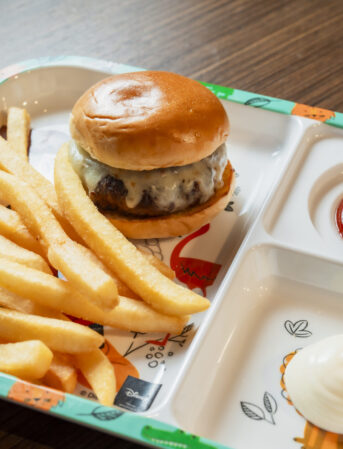 Burger Fries Scaled 674x450x165x0x343x450x1768359930