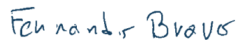 Fernando Bravo 247x50x0x0x247x50x1733917501