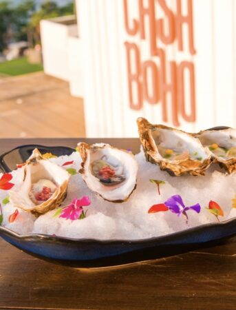 Oysters Fines De Claire N1 4 Pieces 343x457x0x3x343x450x1770799280