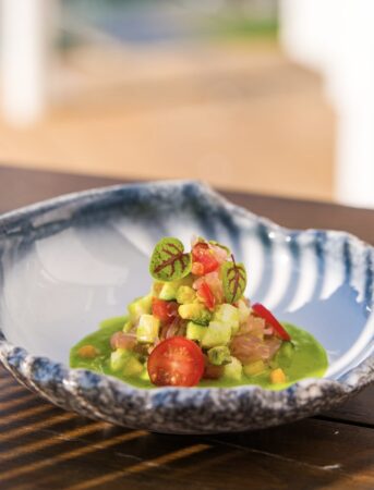 Vegetarian Ceviche V 343x457x0x3x343x450x1770799894